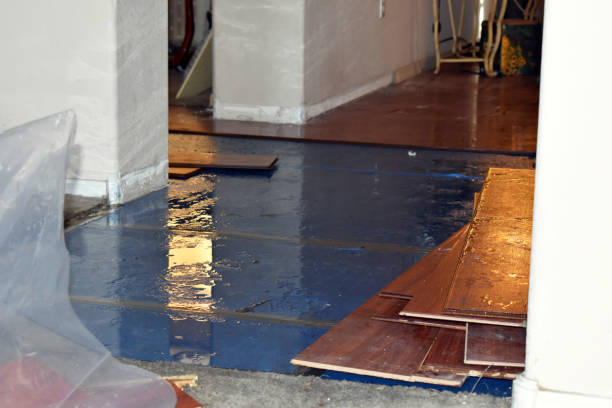 Professional Sewage Cleanup technician working in Tower, MN